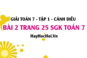 Giải bài 2 trang 25 Toán 7 Tập 1 SGK Cánh Diều
